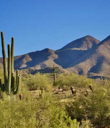 car glass repair Phoenix